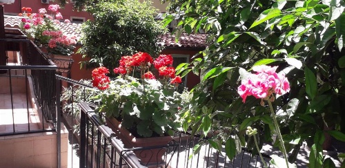 Gioia Guest House image 11