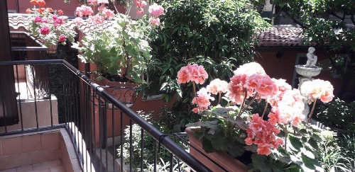 Gioia Guest House image 50