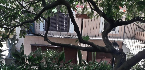 Gioia Guest House image 7